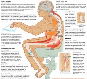 The health hazards of sitting