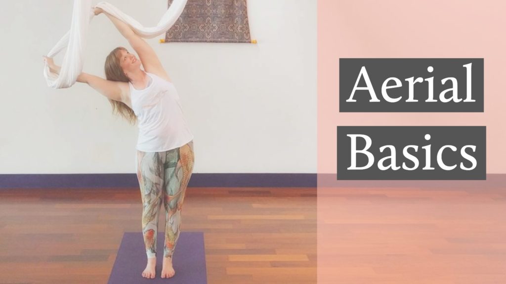 Aerial Basics Yoga Workshop