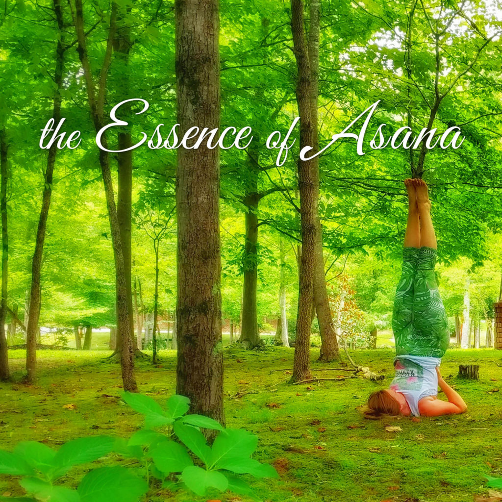 The Essence of Asana | A 50-hour YTT Immersion