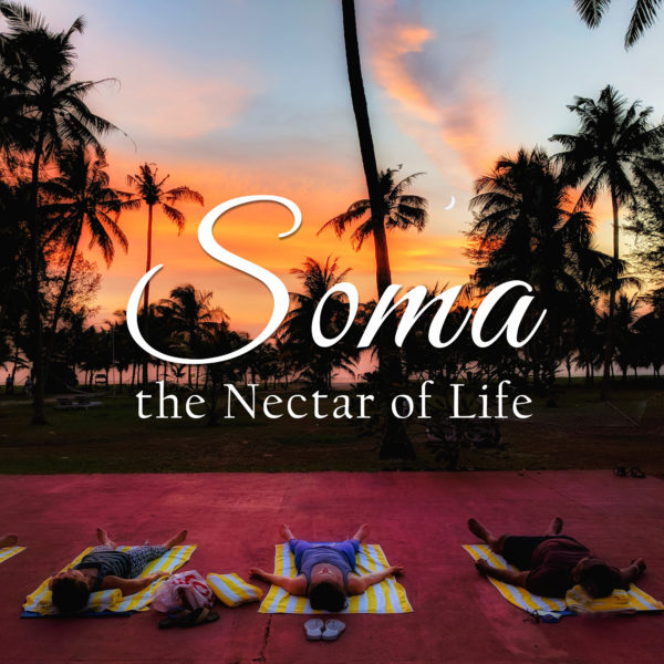 Soma :: The Nectar of Life | A 50-hour YTT Immersion
