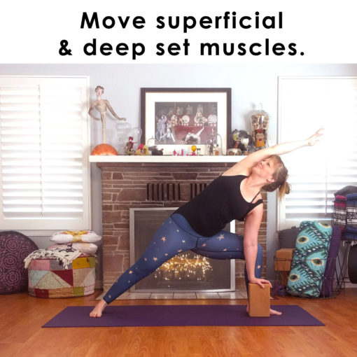 Move superficial and deep set muscles.