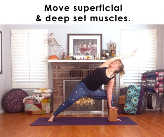 Move superficial and deep set muscles.